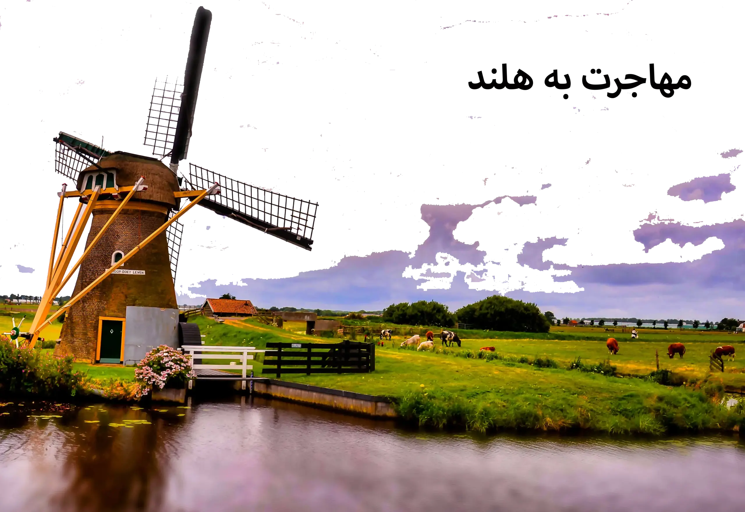 مهاجرت به هلند